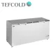 Tefcold mélyhűtőláda, dupla fedős, 565 l, – Fehér/Rozsdamentes